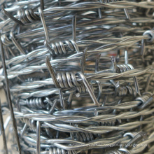 Barbed Wire /Galvanized Barbed Wire/ Electric Galvanized Barbed Wire
